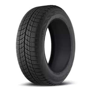 Bridgestone Blizzak WS60